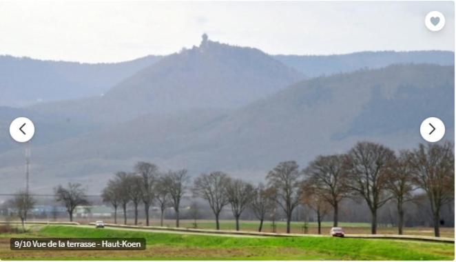 Gite De L'Aubach Ebersheim Exteriér fotografie